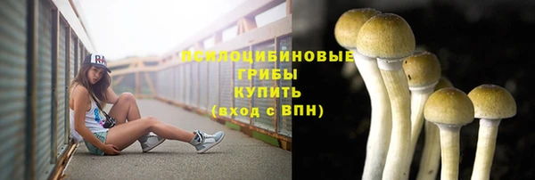 герыч Михайлов