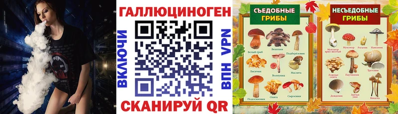 Псилоцибиновые грибы мицелий  Тосно 