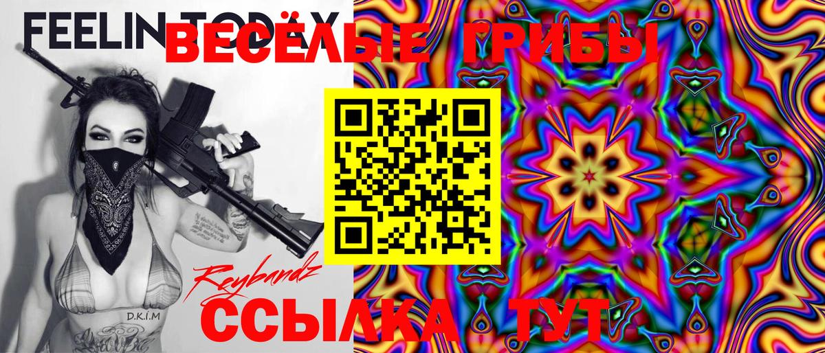 Псилоцибиновые грибы Psilocybine cubensis Тосно