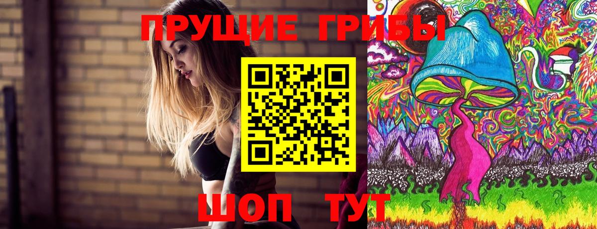 Псилоцибиновые грибы Psilocybine cubensis  Вход с VPN  Тосно 