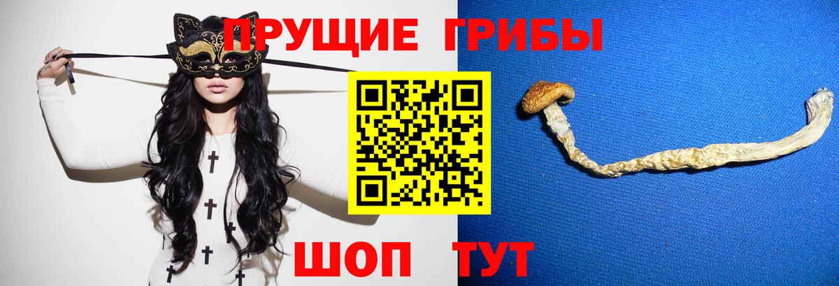 Псилоцибиновые грибы GOLDEN TEACHER  Тосно 