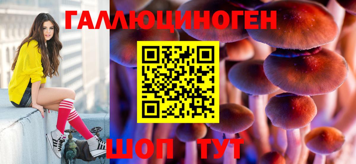 Псилоцибиновые грибы прущие грибы Тосно