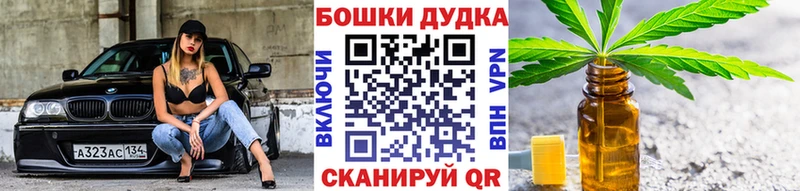 Шишки марихуана OG Kush  Тосно 